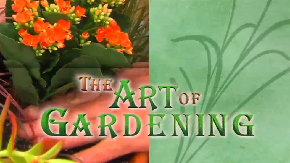 The Art Of Gardening Perennials Cfjc Today Kamloops - 