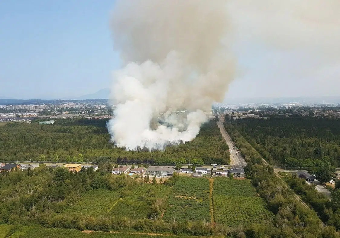 Richmond B C Wildfire Burning Underground Challenging Firefighters