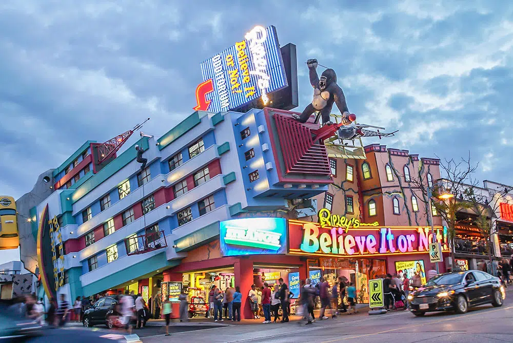 niagara falls odditorium