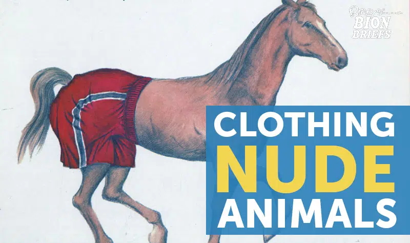 clothe nude animals