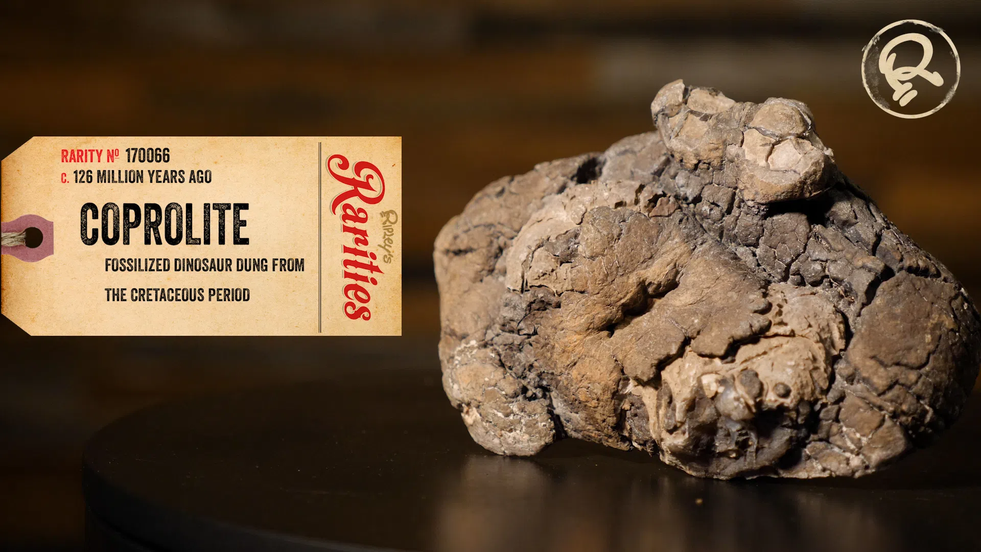 coprolite