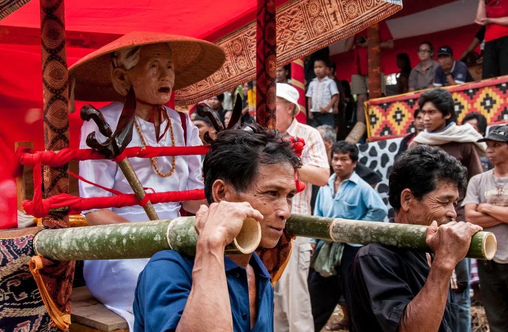 toraja