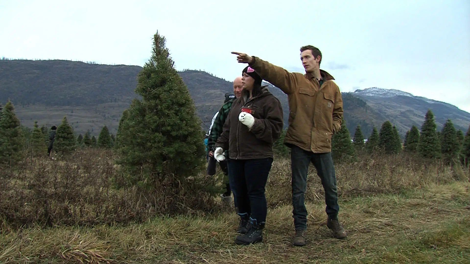 Woodward Christmas Tree Farm in Kamloops now open for the season CFJC