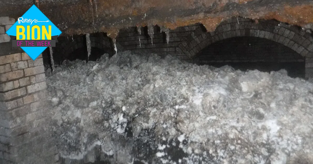 biggest fatberg