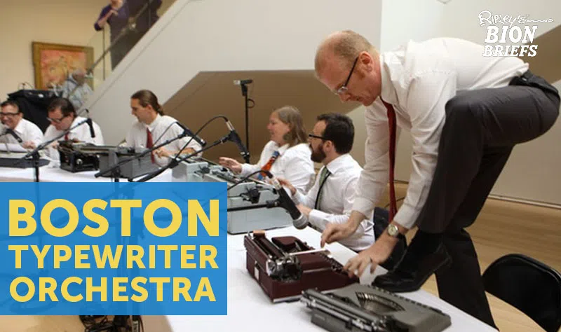 boston typewriter orchestra