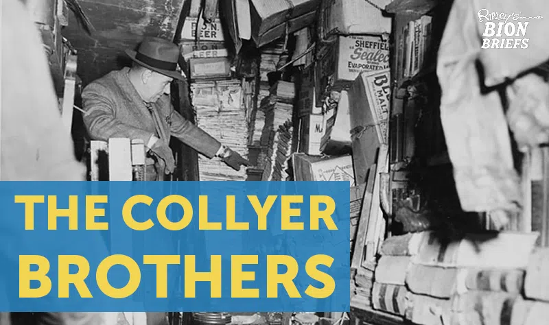 collyer brothers