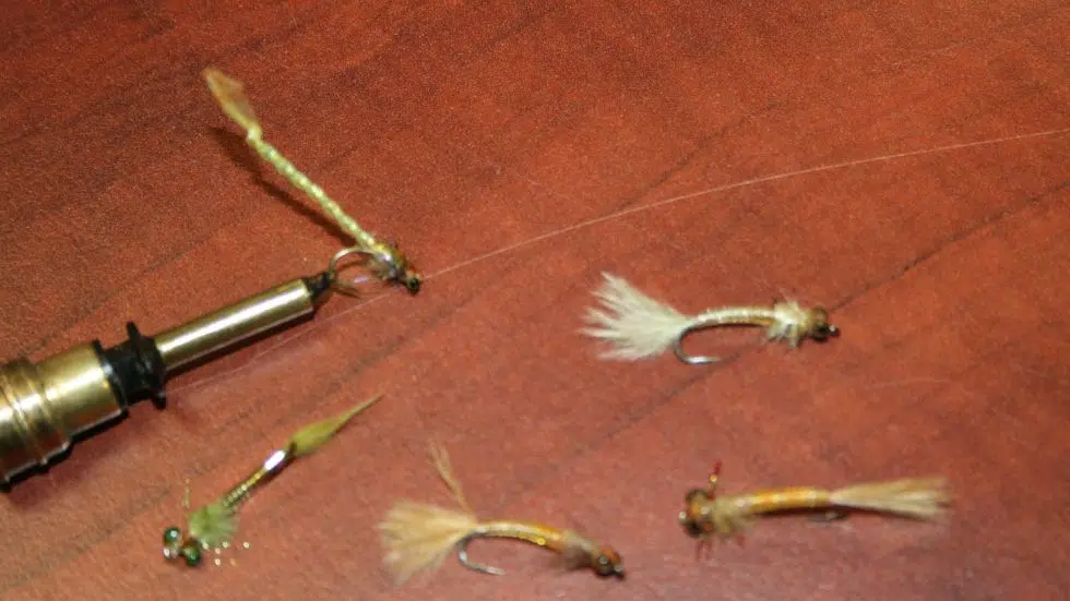 Kamloops Fly Fishers Association encouraged by success of epetition to