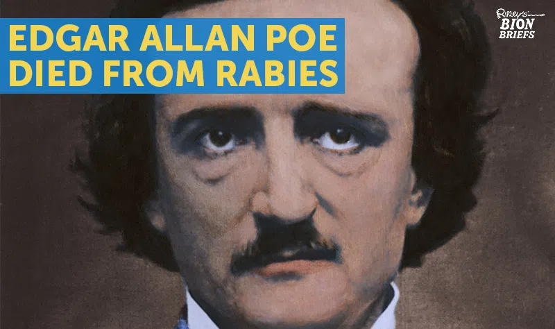 poe had rabies