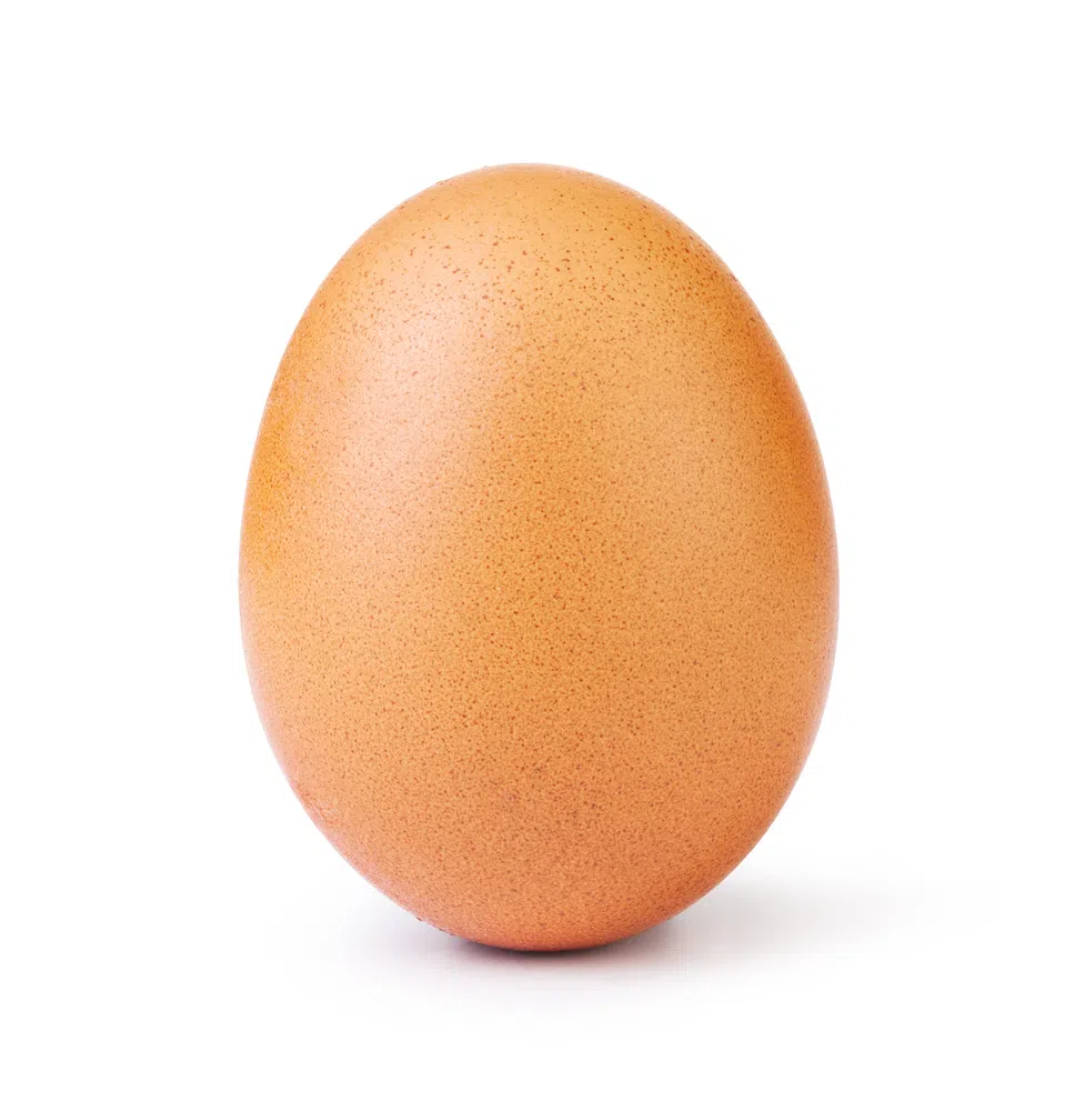 egg