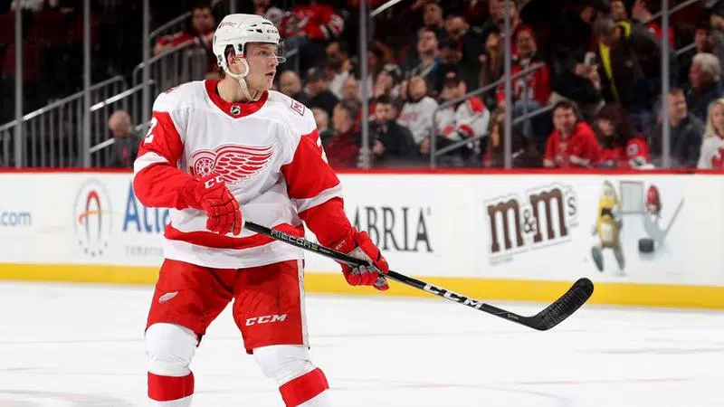 UPDATE: The #RedWings today signed - Detroit Red Wings