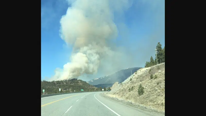 BC Wildfire Service responding to 150-hectare fire near ...