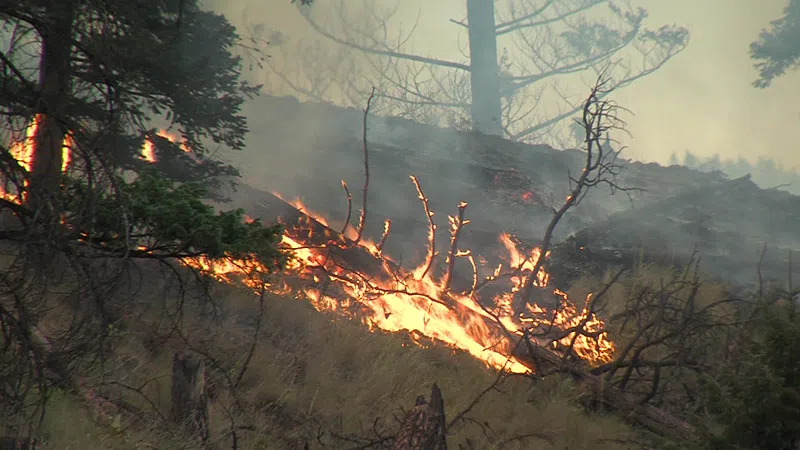 B.C. Wildfire Service Implements Early Fire Bans, Special Training ...