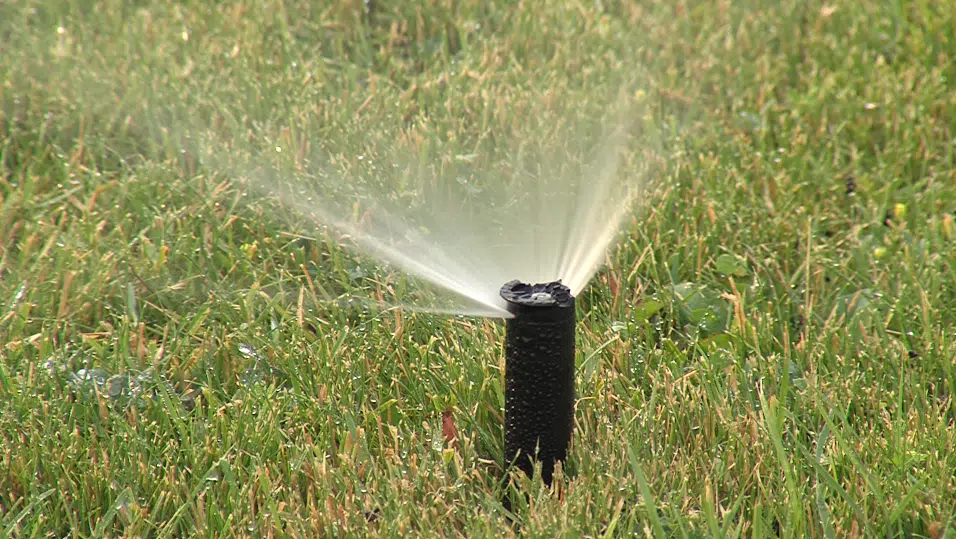 Are you taking steps to conserve water, considering the severe drought