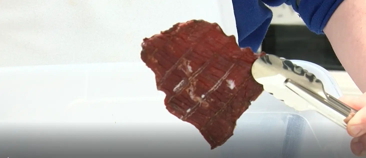 The Jerky Factory Amplify Prince CKPGToday.ca