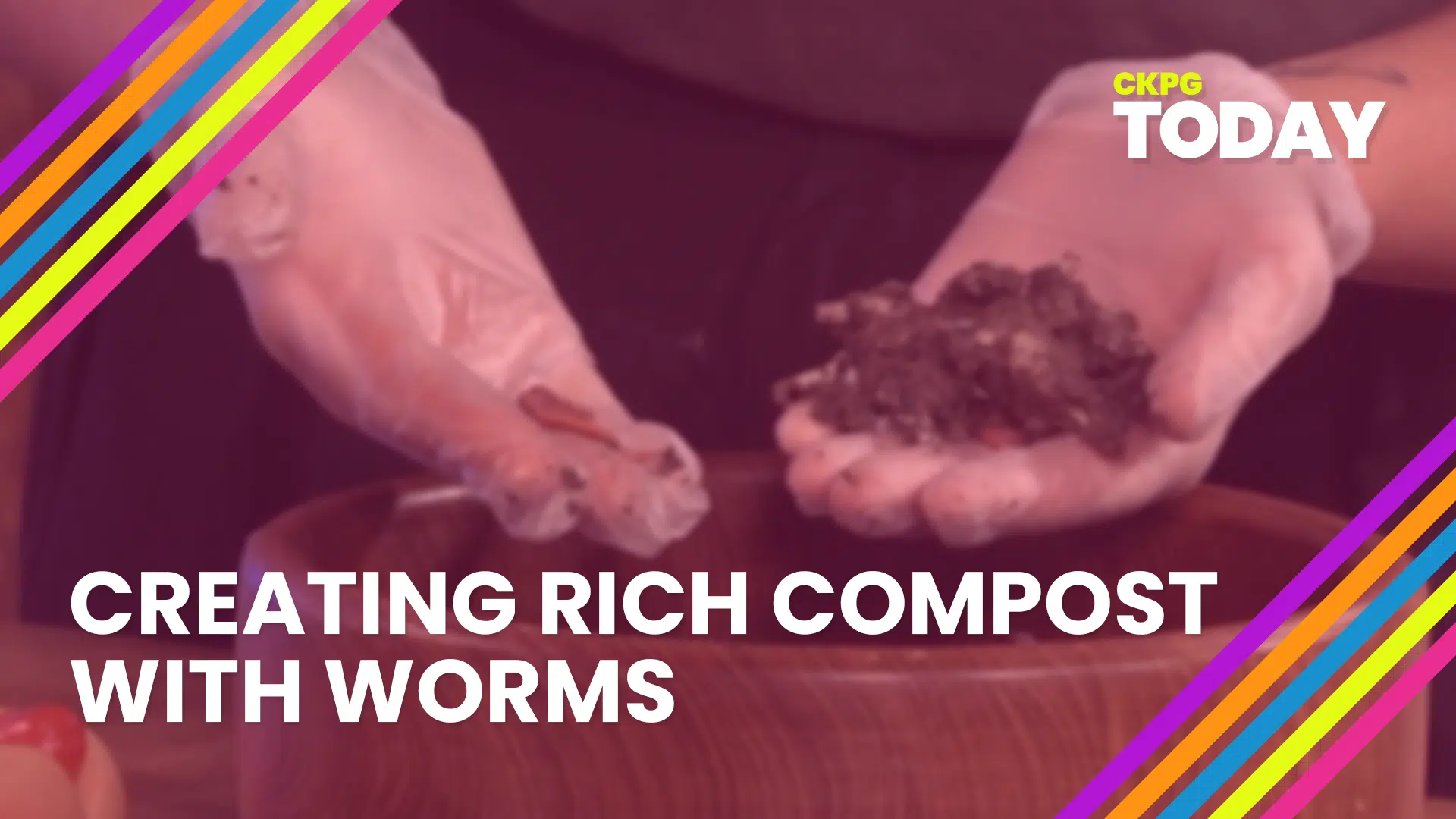 Using worms to make a rich compost at home CKPGToday.ca