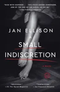 A Small Indiscretion by Jan Elison