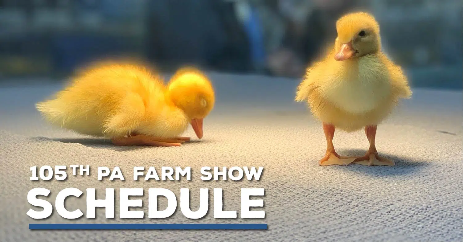 farm-show-schedule-for-saturday-wesb-b107-5-fm-1490-am-wbrr-100-1