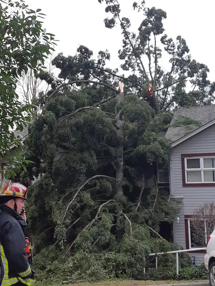 More than 15,000 without power at peak of wind storm in Nanaimo region
