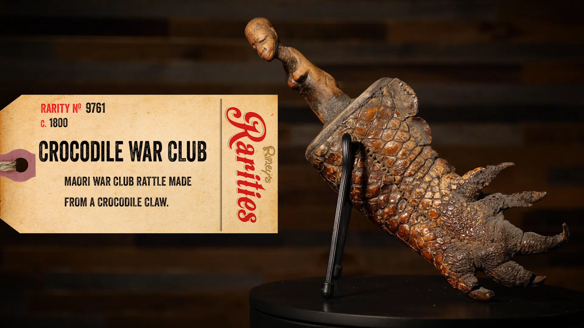 crocodile claw war club
