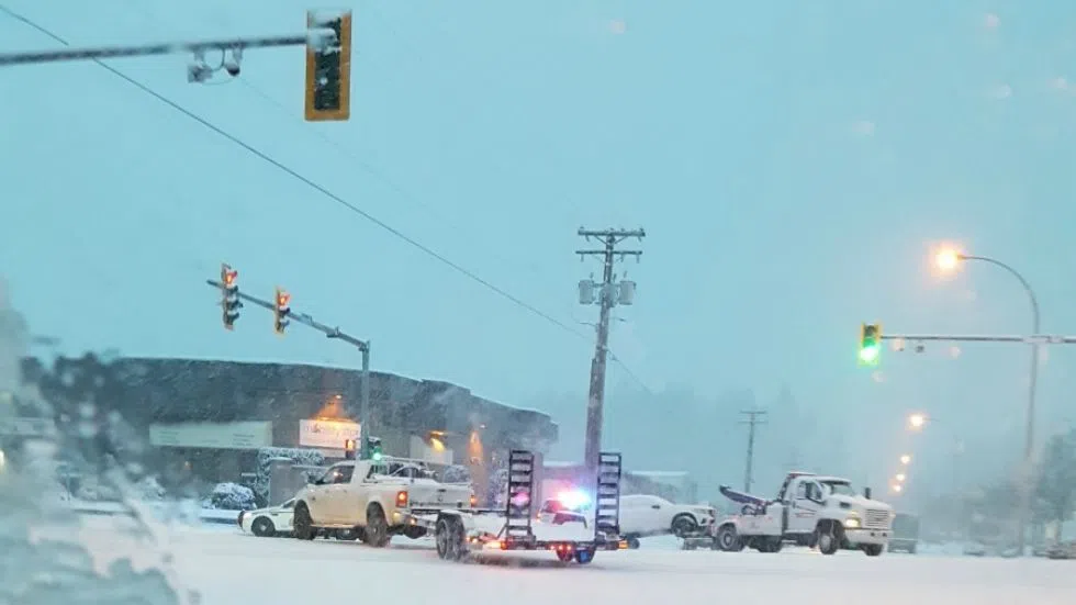 Up to 20 cm. of snow predicted for Nanaimo NanaimoNewsNOW Nanaimo