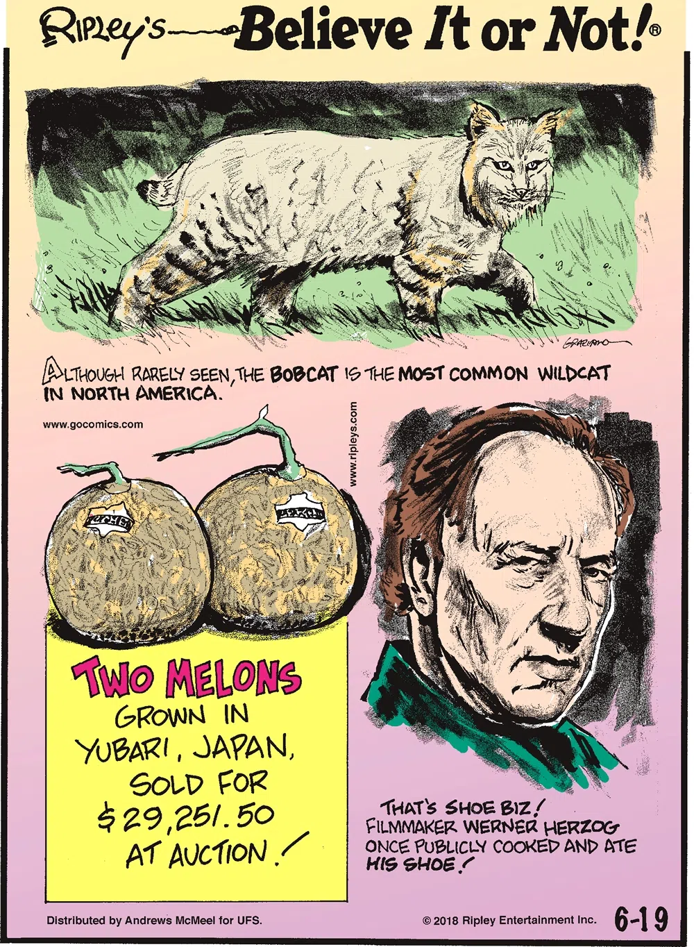 Although rarely seen, the bobcat is the most common wildcat in North America.-------------------- Two melons grown in Yubari, Japan, sold for $29,251.50 at auction!-------------------- That's shoe biz! Filmmaker Werner Herzog once publicly cooked and ate his shoe!
