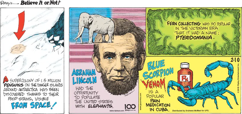 1. A supercolony of 1.5 million penguins on the Danger Islands around Antarctica has been discovered thanks to their poop stains, visible from space! 2. Abraham Lincoln had the opportunity to populate the United States with Elephants. 3. Fern collection was so popular in the Victorian Era that it had a name: pteridomania. 4. Blue scorpion venom is a popular pain medication in Cuba.