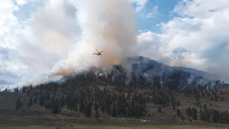 Planned Back Burns Help Contain Aggressive Wildfire Near Osoyoos B C Nanaimonewsnow Nanaimo News Sports Weather Real Estate Classifieds And More