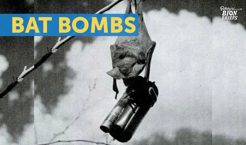 bat bombs