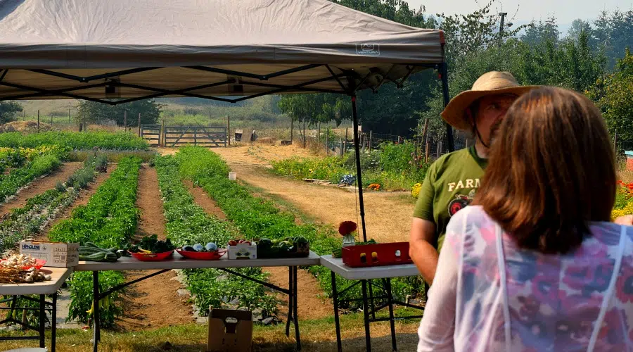 Federal seniors minister tours Nanaimo’s Five Acre Farm