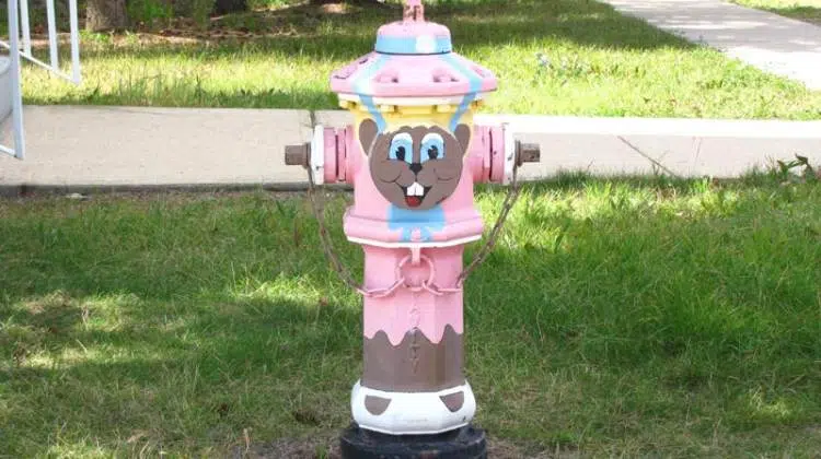 Torrington gopher fire hydrant.