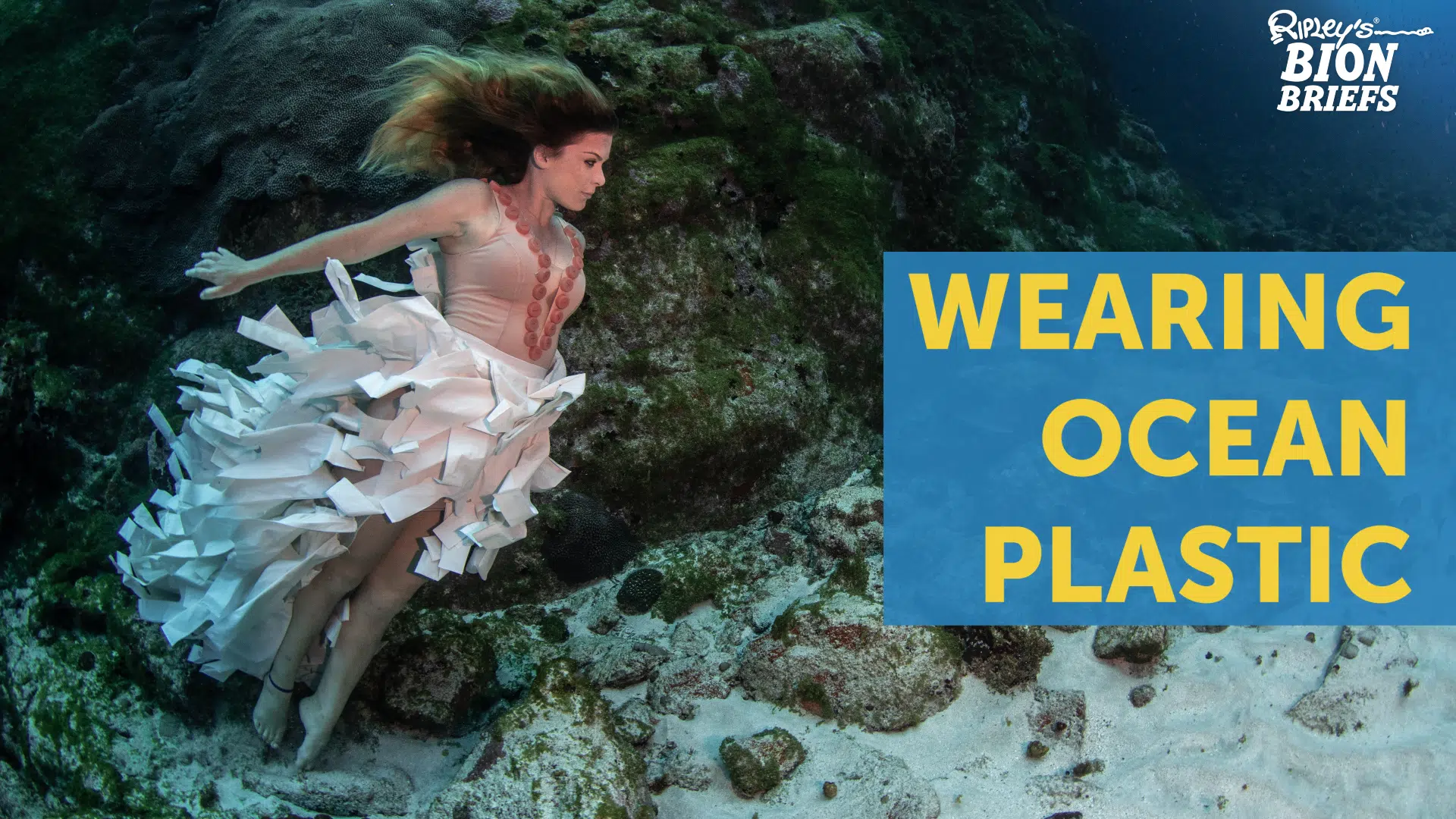 ocean plastic dresses