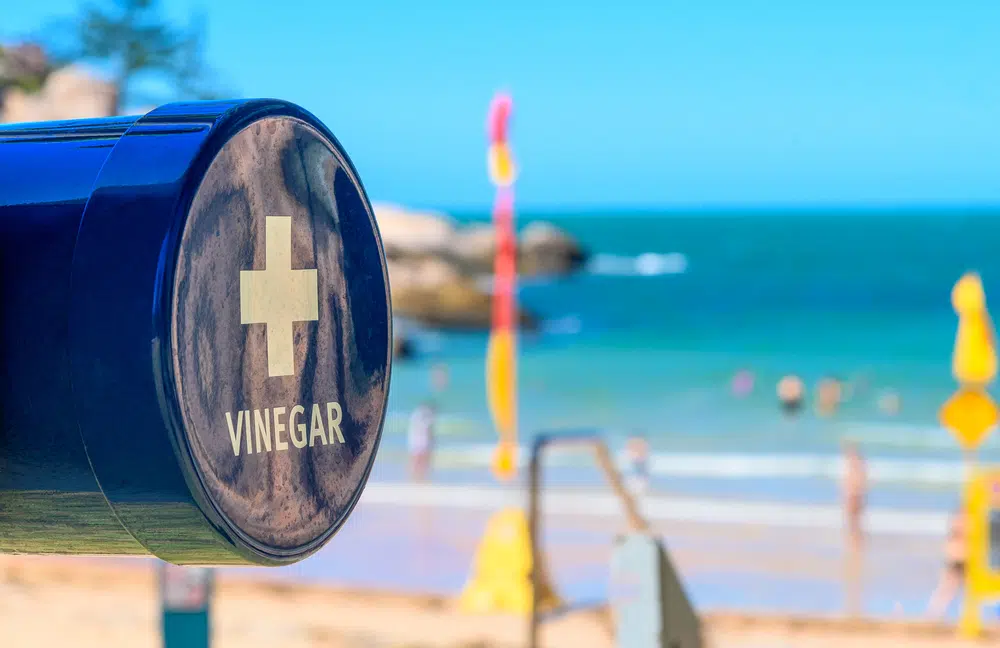 beach vinegar for jellyfish stings