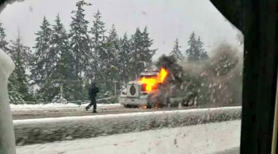 Strong winter storm blankets Nanaimo with snow NanaimoNewsNOW