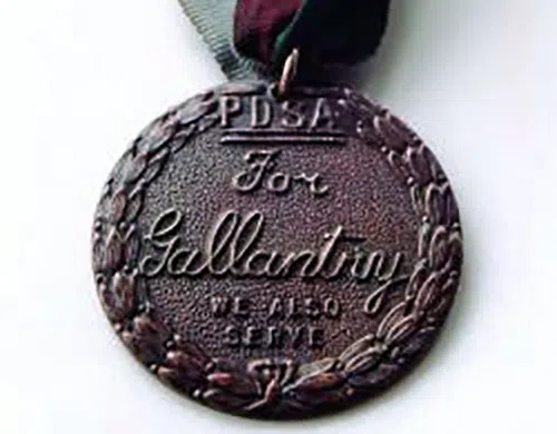 dickins medal