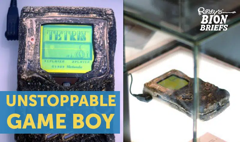 game boy