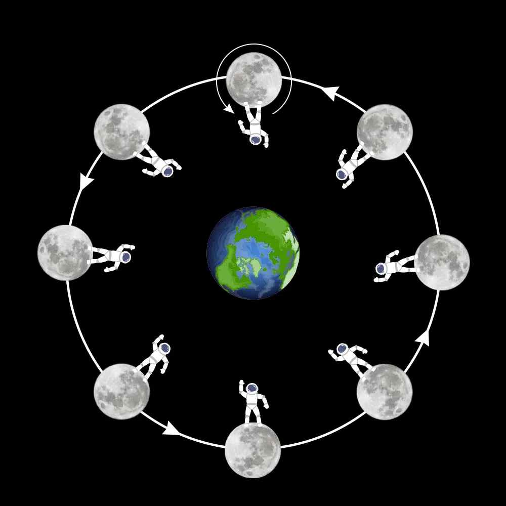 dark side of the moon