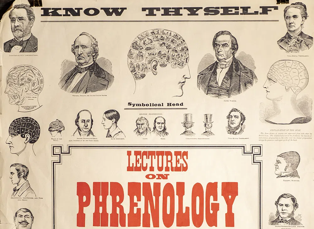 phrenology