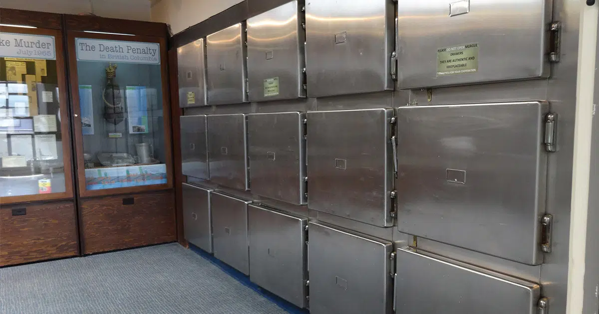 CC Amanda Anderson/Flickr