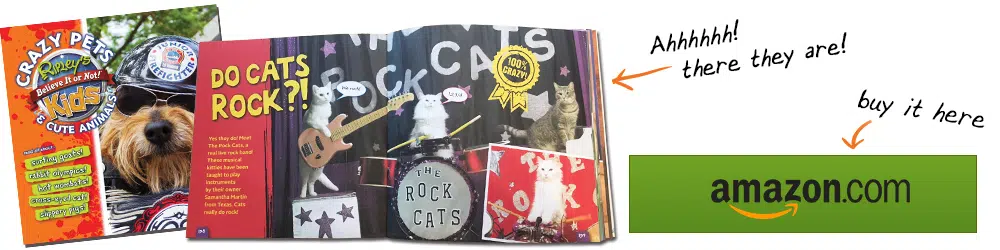 rock cats in Ripley's crazy pets