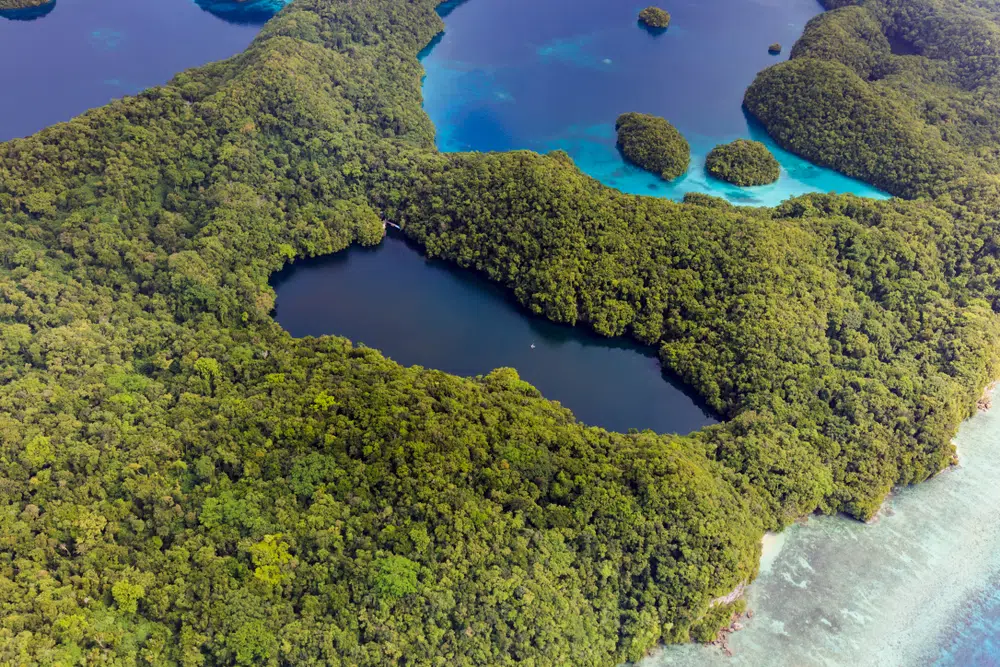 jellyfish lake