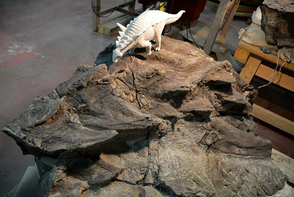 preserved dinosaur