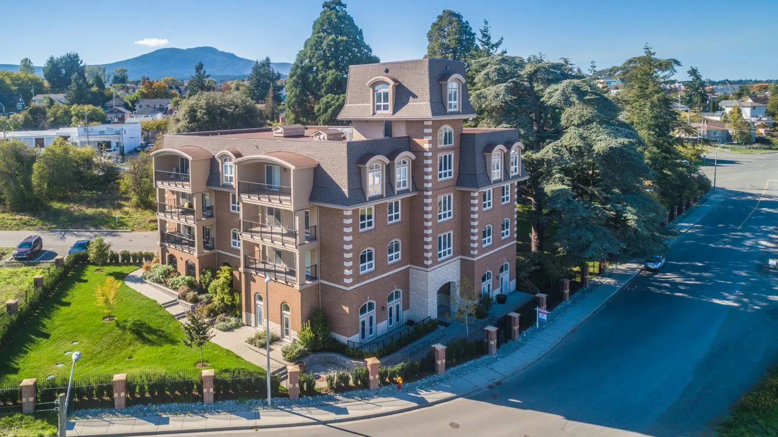 online dating sites for dogs