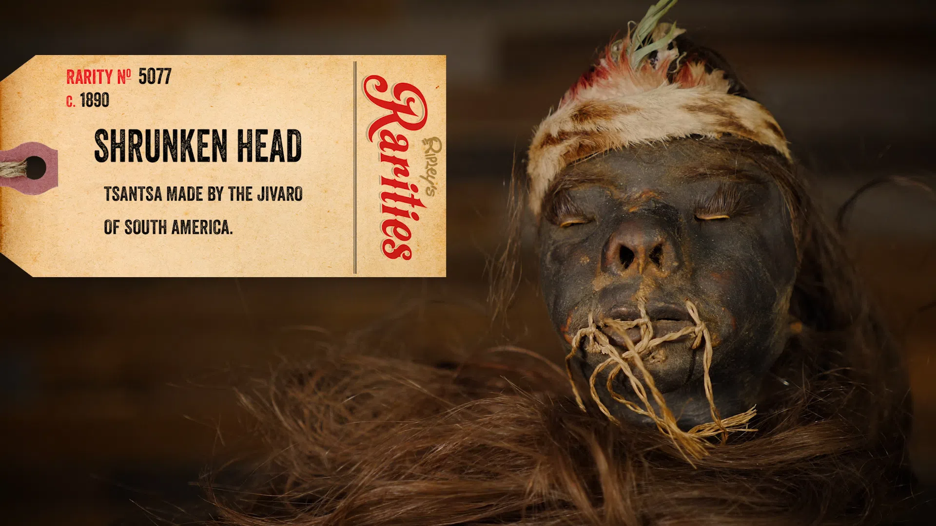 shrunken head