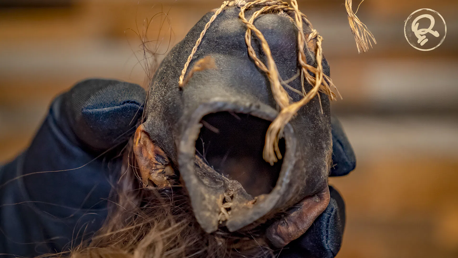 shrunken head cavity