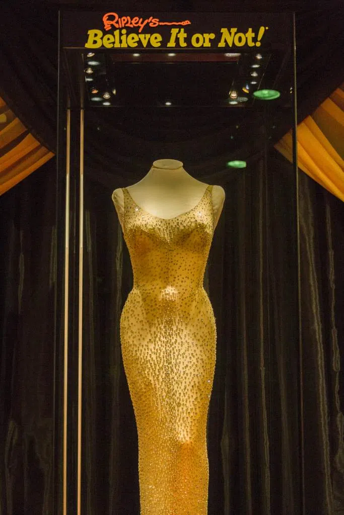 The Most Expensive Dress