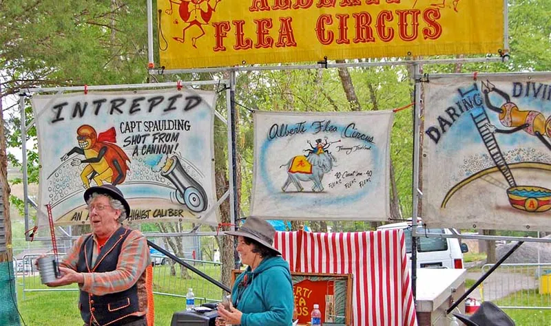 flea circus