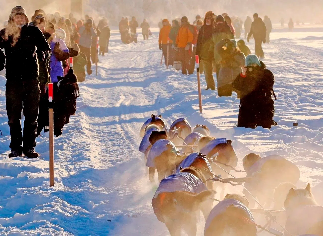 Gruelling 1,600 km Yukon Quest dog sled race starts in Whitehorse