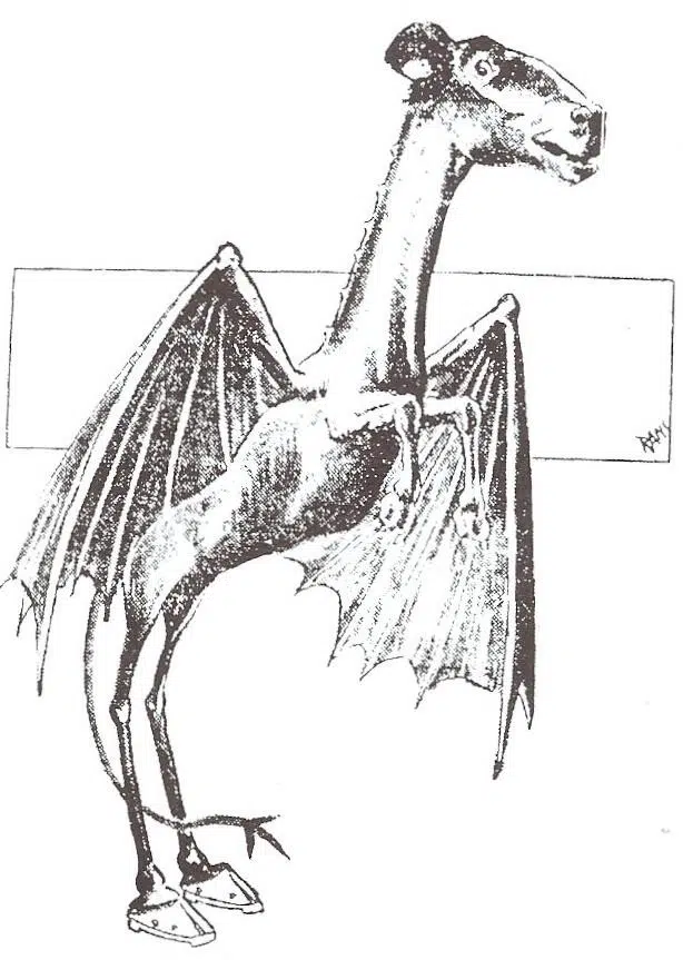 jersey devil