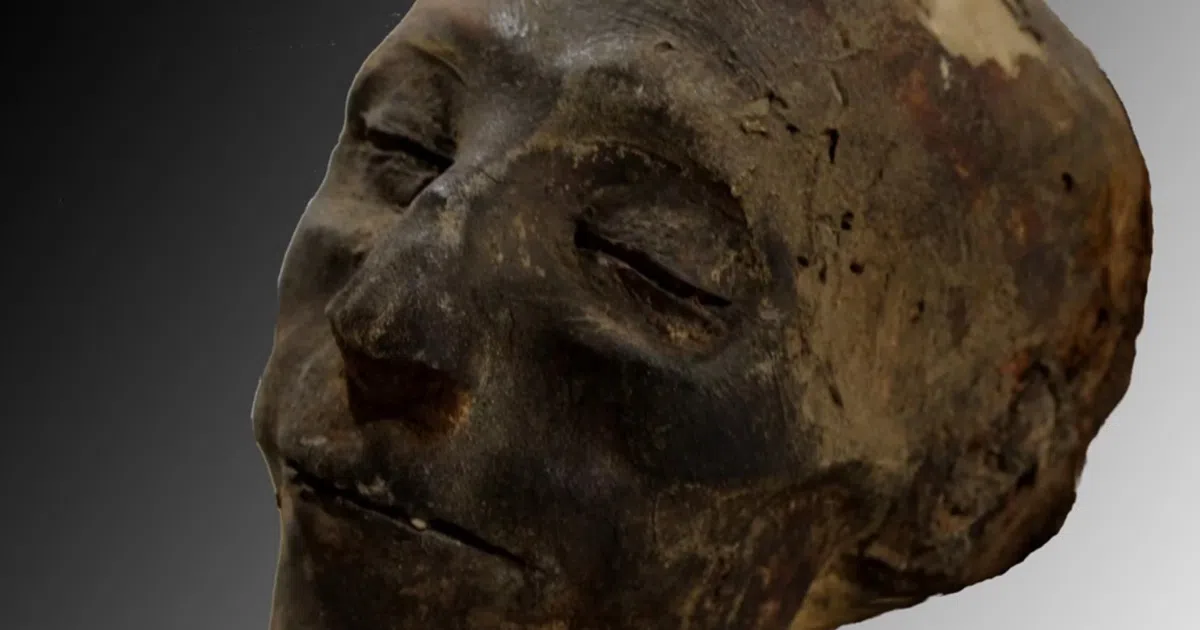 Nebiri Mummy Head