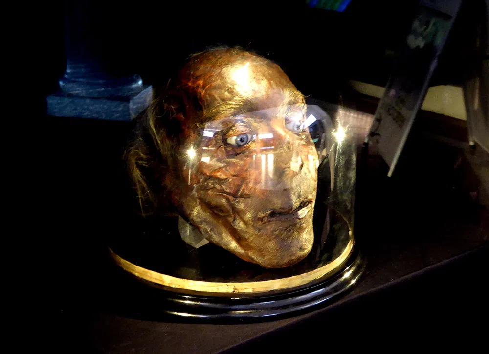 jeremy bentham head